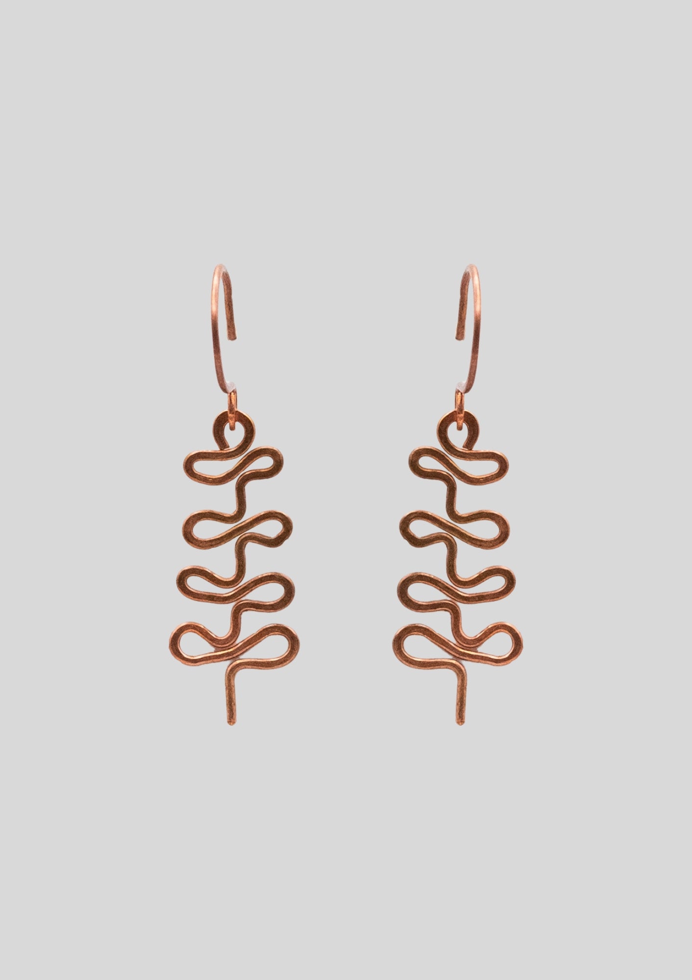 Little Fern: Copper Dangle Earrings